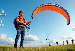 轻松掌握元梦之星滑翔控制技巧，畅游天空不是梦！